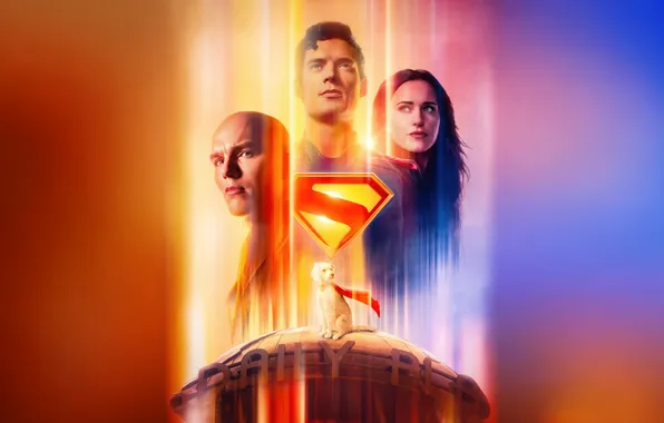 Background, dog, logo, Superman, poster, comic, Superman, Lois Lane