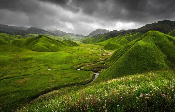 Grass, flowers, mountains, clouds, nature, river, India, Green Dzukou