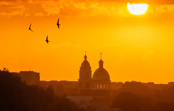 Summer, the sun, sunset, the city, temple, Swifts, Maikop, Marina Fadeeva