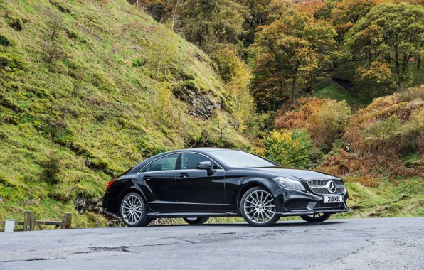 CLS, Mercedes, Benz, 350