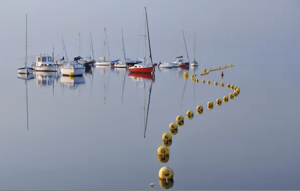 Picture landscape, lake, boats, buoys