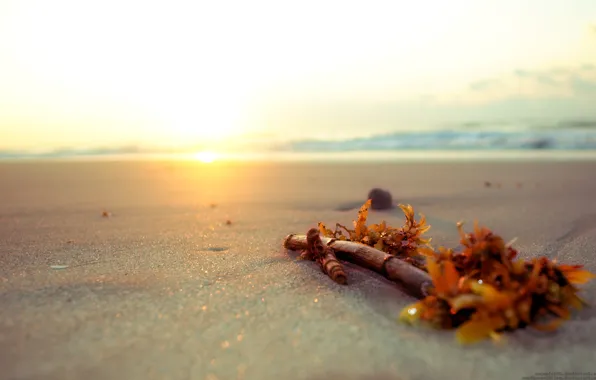 Picture sand, beach, stick