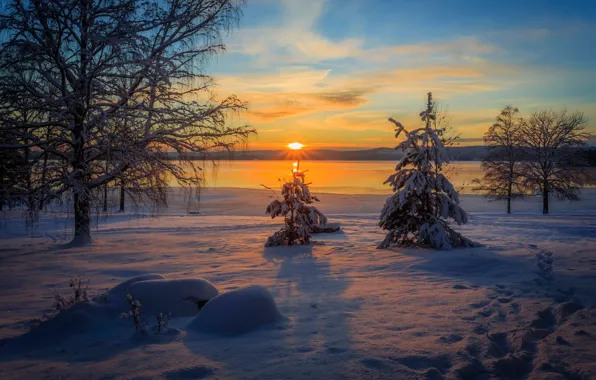 Winter, forest, snow, trees, sunset, river, shore, the snow