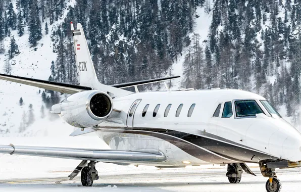 The plane, snow, Airplane, jet, Trees, rich, mount