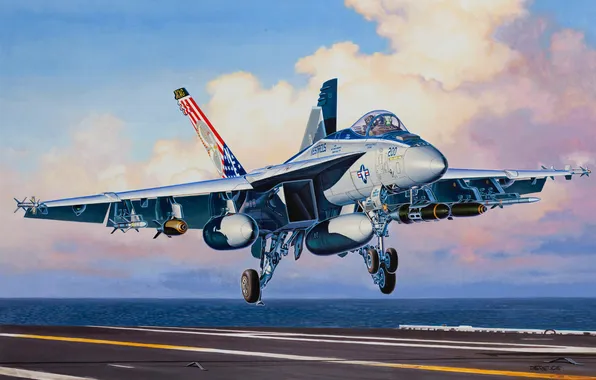Aviation, fighter, the carrier, the plane, Super Hornet, Boeing F/A-18E