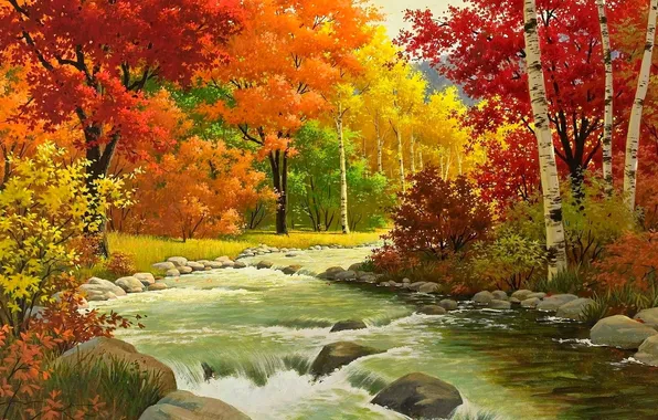 Picture forest, trees, river, stones, foliage, Autumn