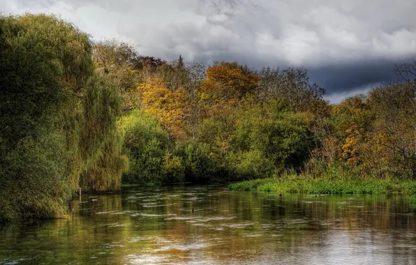 Picture nature, river, photo, England, Hampshire, Itchen