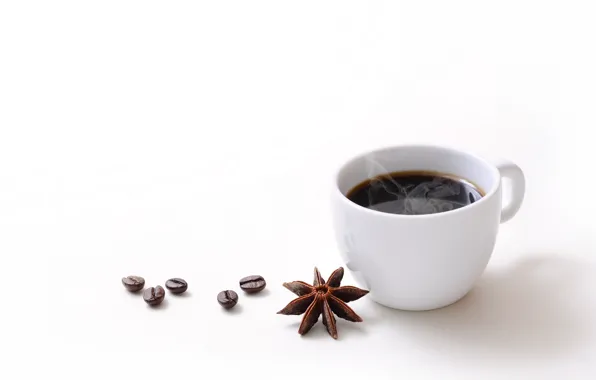 Picture coffee, grain, Cup, spices, star anise