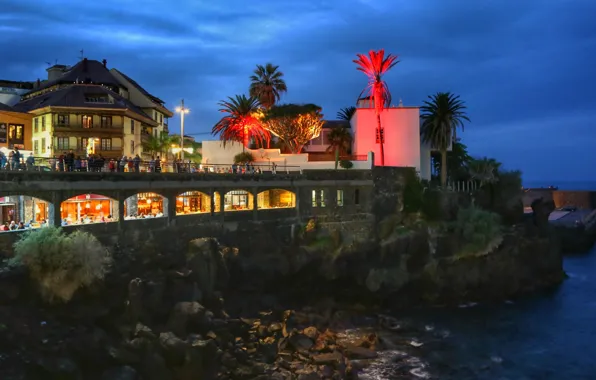 Picture landscape, stones, palm trees, the ocean, shore, the evening, lighting, restaurant