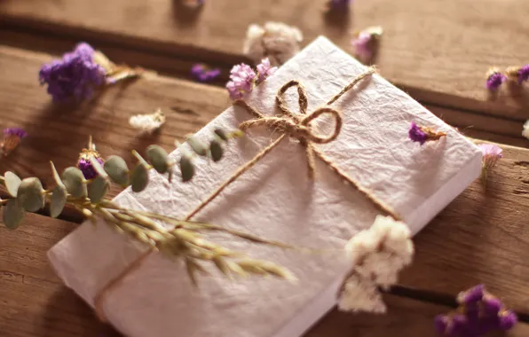 Flowers, Board, plants, rope, field, the envelope