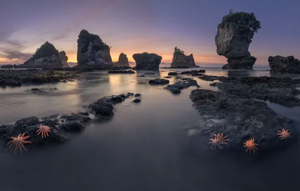 Picture landscape, nature, stones, the ocean, rocks, New Zealand, starfish, Motukiekie Beach