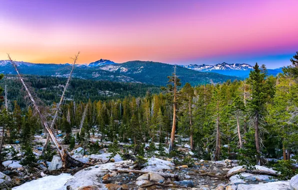 The sky, Mountains, Forest, Stones