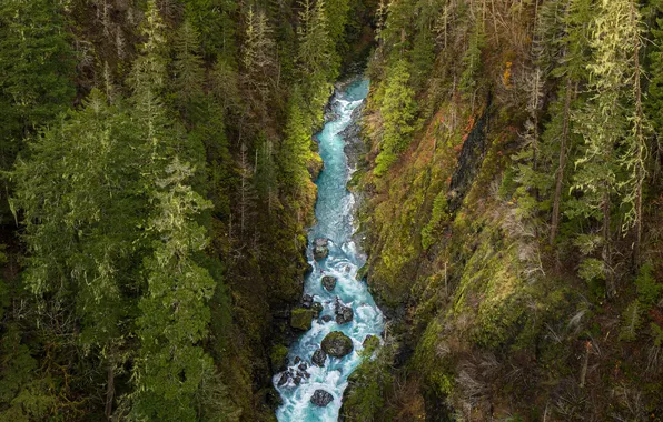 Picture forest, trees, landscape, mountains, nature, river, stones, rocks