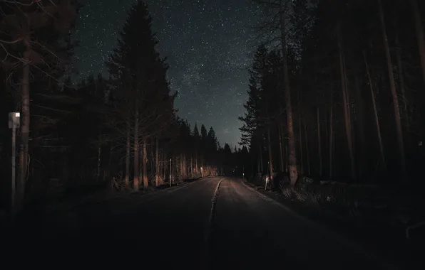 Road, forest, the sky, night, darkness, stars