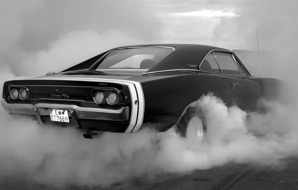 Picture strip, lights, smoke, tires, the trunk, body, cherono, white, Dodge Charger RT