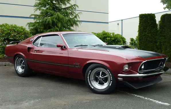 Picture mustang, Mustang, 1969, ford, muscle car, Ford, muscle car, mach 1