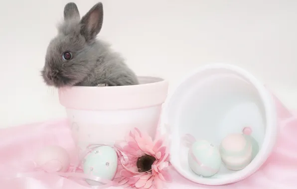 Picture flower, egg, rabbit, Easter, pot, easter