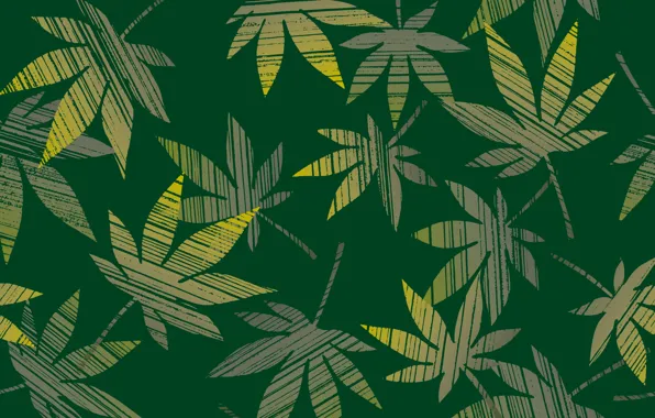 Picture leaves, green, hemp