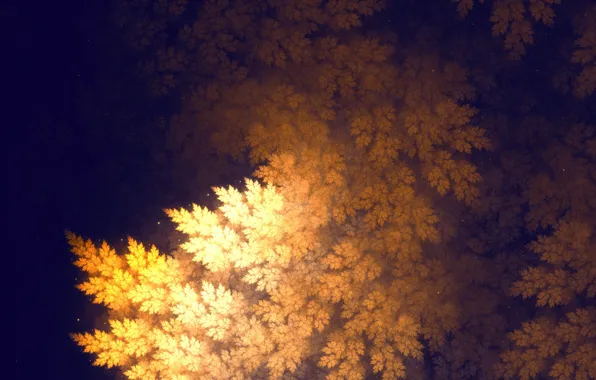 Picture nature, leaves, tree