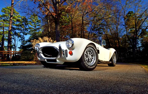 Picture Ford, Shelby, Cobra, Ford, Shelby, 1967, Cobra 427