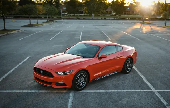 Picture Ford, mustang, red, parking, 2015