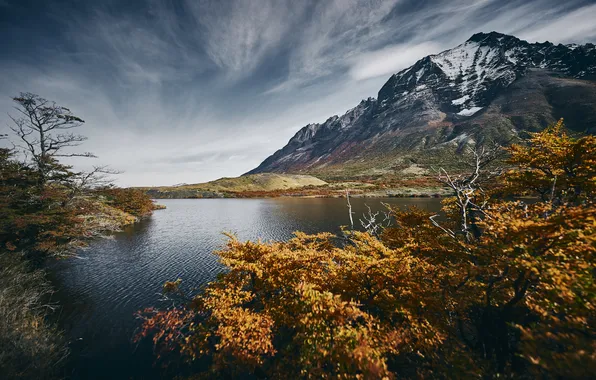Autumn, clouds, mountains, lake, shore, shrubs