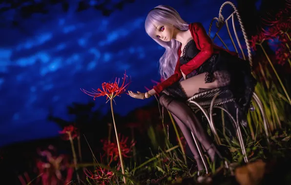 Picture flowers, night, Lily, stockings, doll, chair