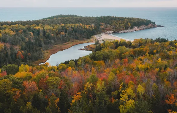 Sea, autumn, forest, trees, lake, river, view, Bay