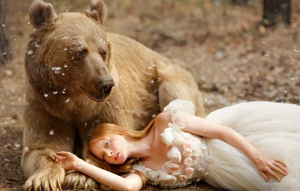 Picture pose, dress, bear, girl, the Bruins, Svetlana Nicotine