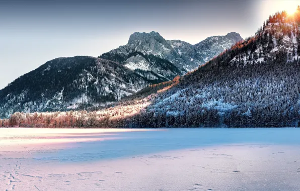 Winter, the sun, snow, mountains, Austria, ate, Alps