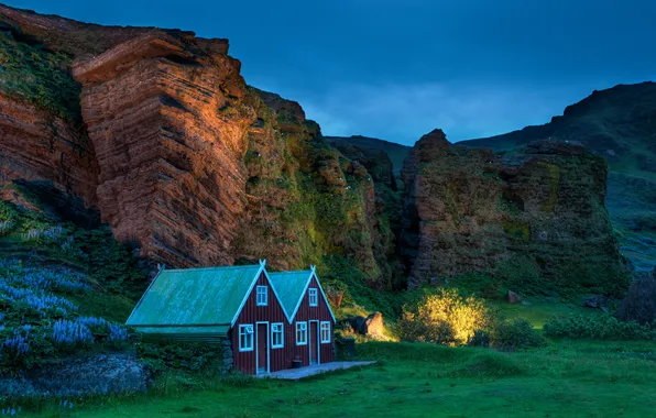 Greens, flowers, rock, the evening, house