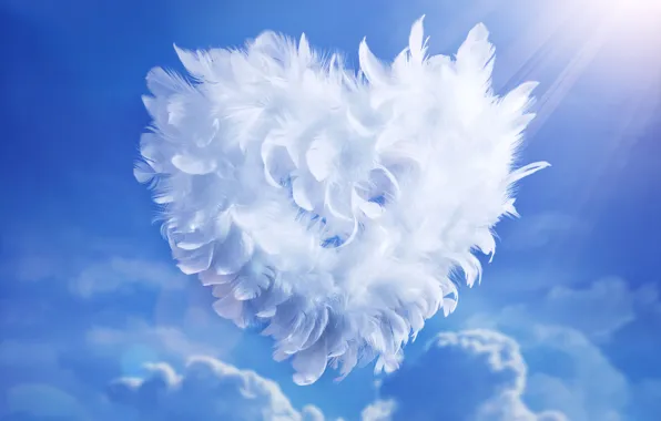 The sky, clouds, blue, feathers, white, heart, the rays of the sun, Valentine's day