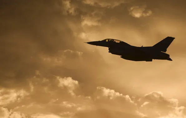 USA, F-16, Fighting Falcon, General Dynamics, the fourth generation fighter, American multifunctional lightweight