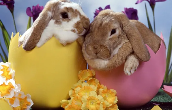 Flowers, eggs, Rabbits, Easter