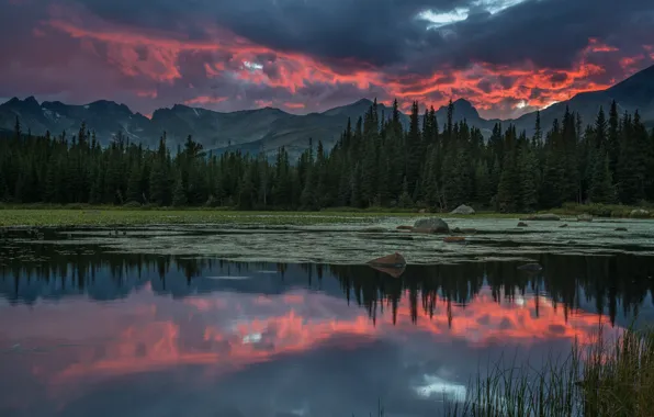 Picture forest, the sky, clouds, mountains, clouds, river