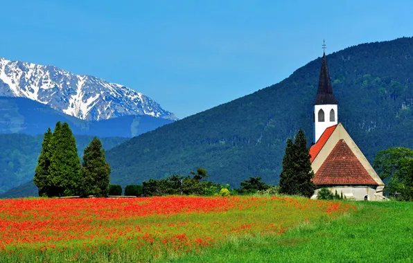 Trees, flowers, mountains, Maki, Austria, Alps, meadow, Church