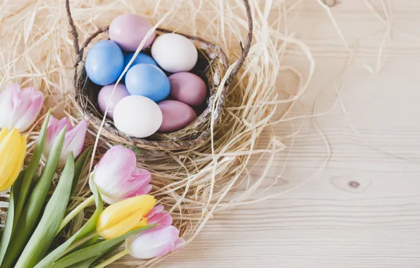 Picture Easter, Eggs, Basket, Holiday, Socket
