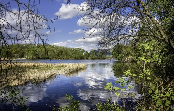 Picture landscape, nature, lake, beauty
