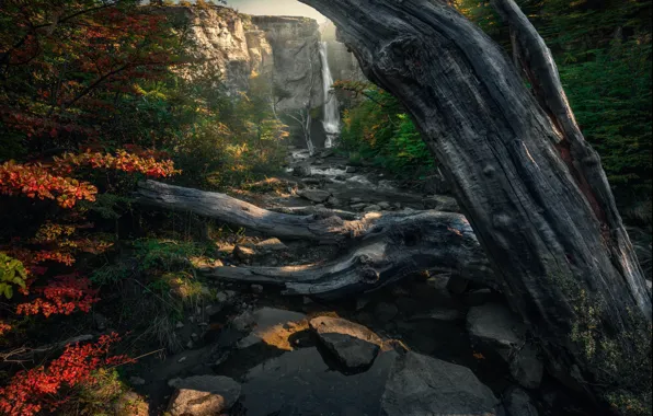 Autumn, mountains, nature, stones, foliage, waterfall, trunk, snag