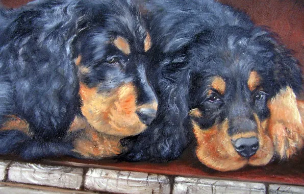 Dogs, look, pose, oil, portrait, dog, pair, painting