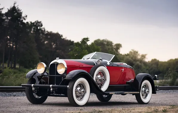 1929, Boattail, Speedsterster, Auburn 8-90, Auburn 8-90 Boattail Speedsterster