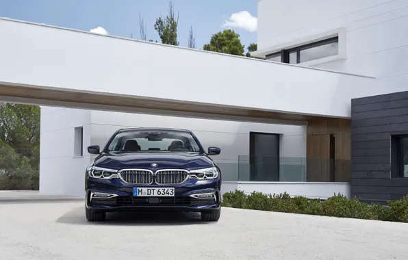 Picture house, vegetation, BMW, sedan, front view, facade, xDrive, 530d