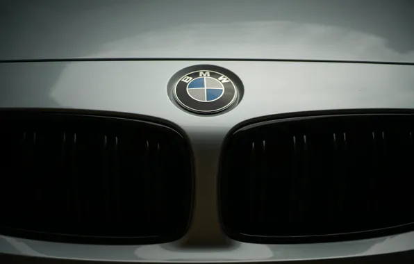 Sign, BMW, emblem, the front
