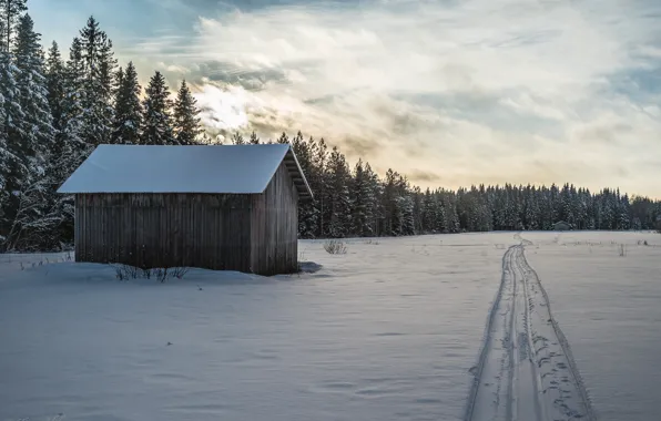 Winter, field, snow, house, trail