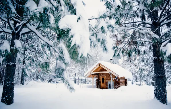 Picture Nature, Winter, Snow, House, House, Nature, Winter, Snow
