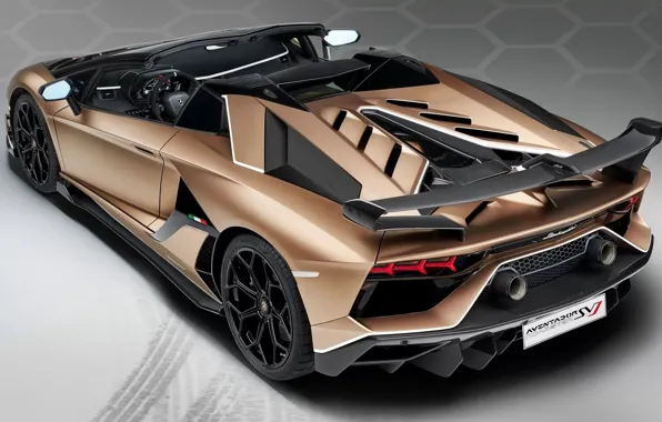 Picture Roadster, Lamborghini, Aventador, SVJ, Lamborghini Aventador SVJ Roadster