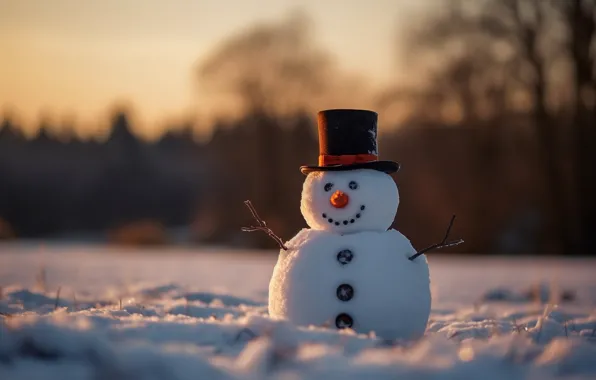 Winter, forest, light, snow, sunset, branches, nature, smile