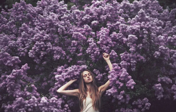 Picture hair, sleep, hair, sleep, closed eyes, Purple flowers, closed eyes, Purple flowers