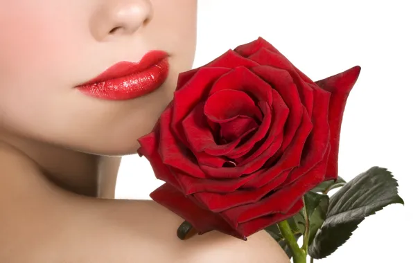 Flower, girl, flowers, roses, lips, red