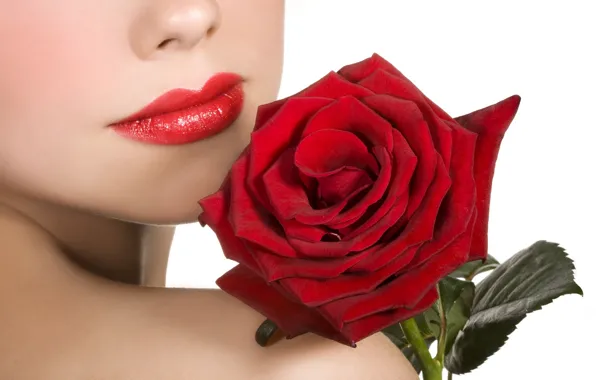 Girl, flowers, red, roses, lips